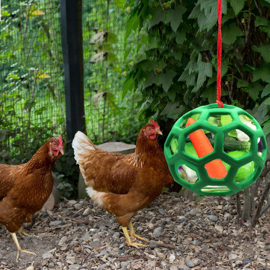 2 Pack Hanging Chicken Feeder Ball Toys