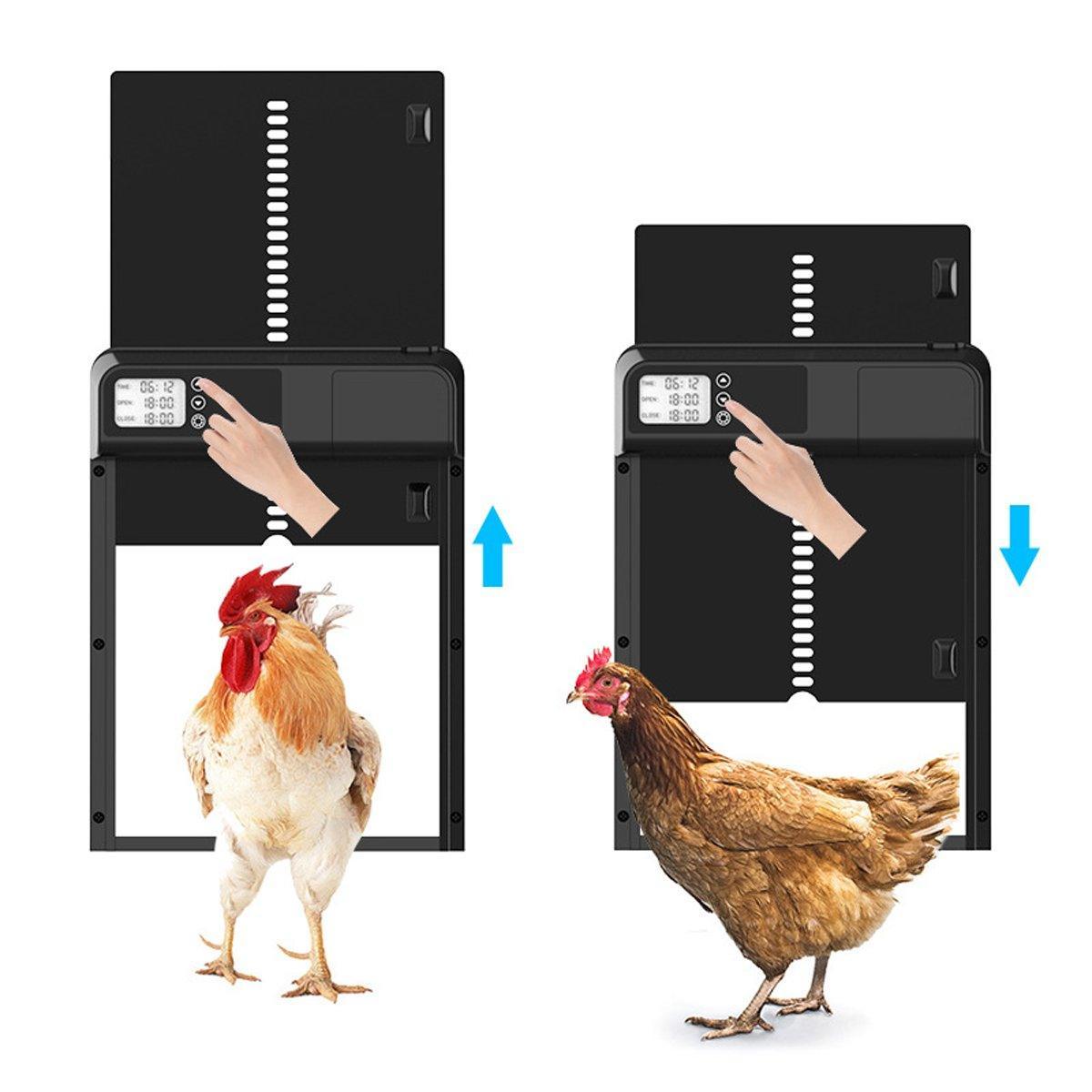 Automatic Stainless Steel Chicken Coop Door