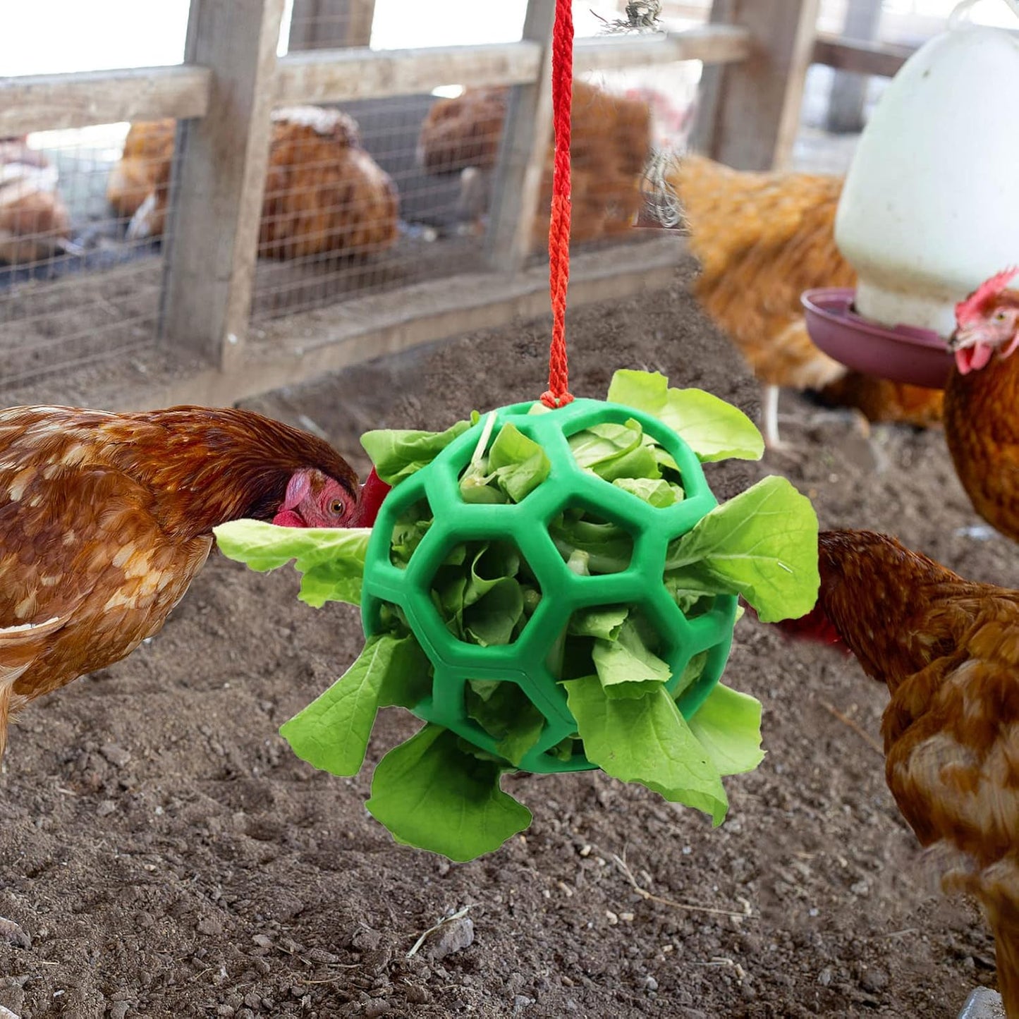 2 Pack Hanging Chicken Feeder Ball Toys