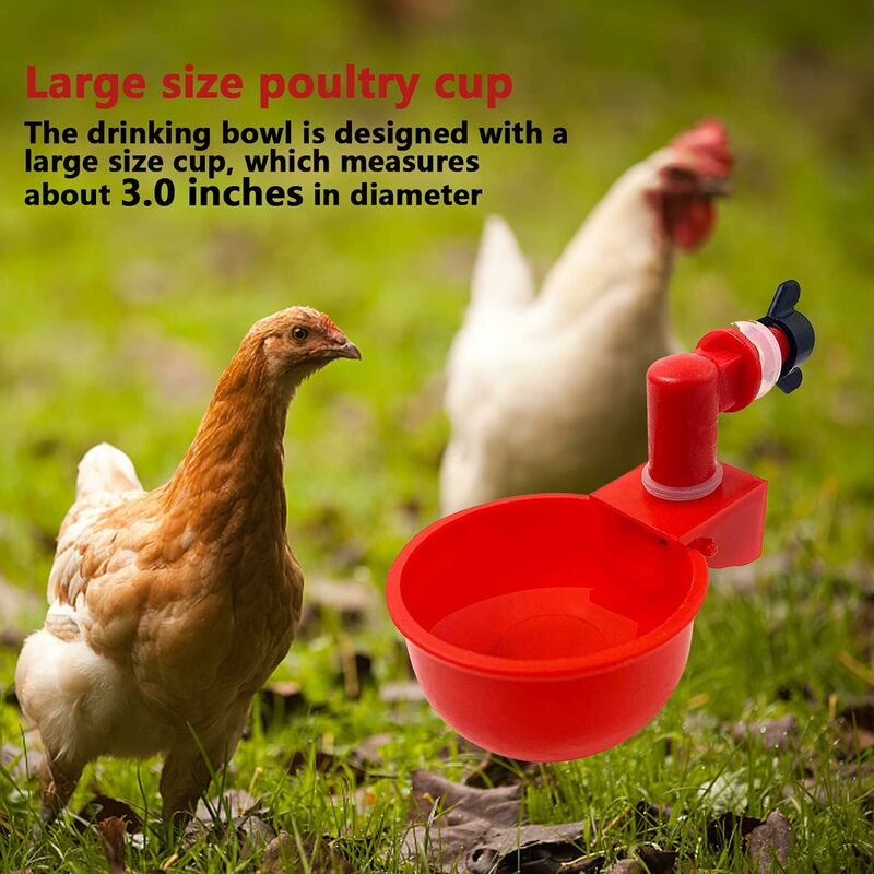 Automatic Poultry Drinking Bowl for Chickens