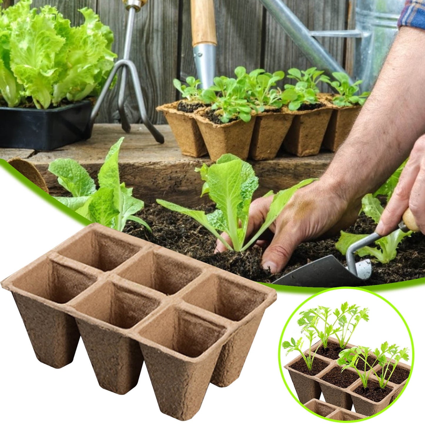 Biodegradable Peat Pot Seed Starter Trays 5 Pack