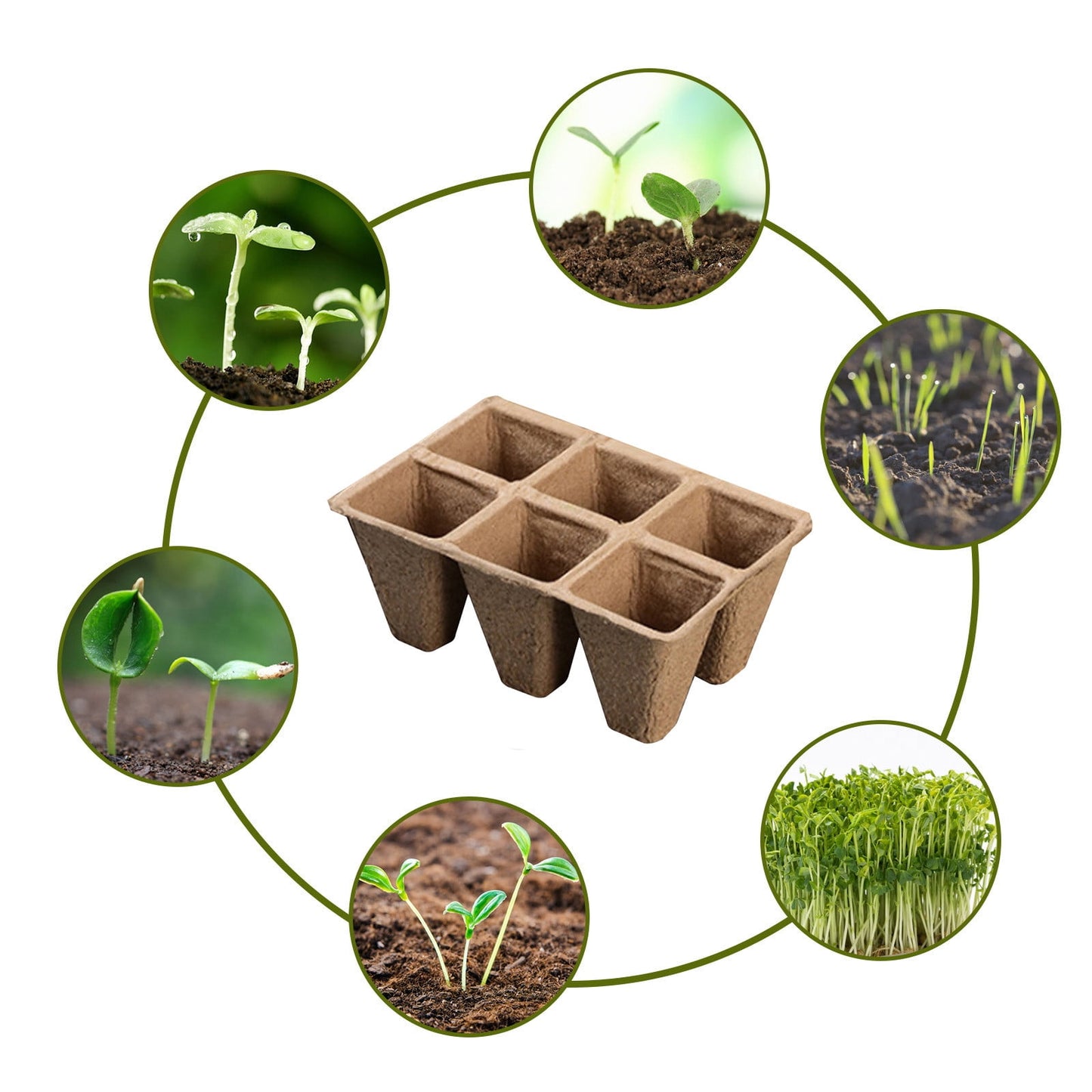 Biodegradable Peat Pot Seed Starter Trays 5 Pack