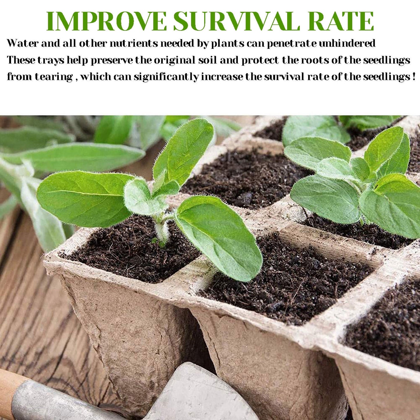 Biodegradable Peat Pot Seed Starter Trays 5 Pack