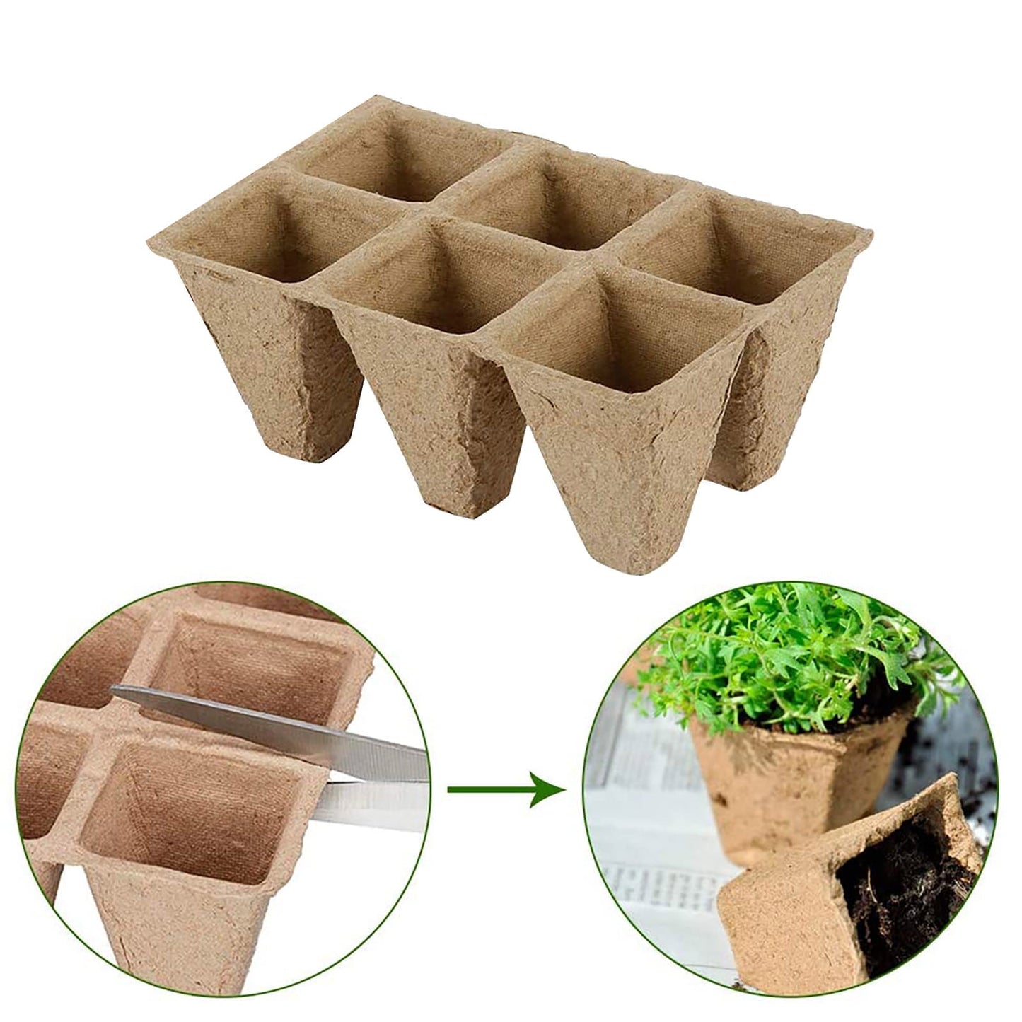 Biodegradable Peat Pot Seed Starter Trays 5 Pack