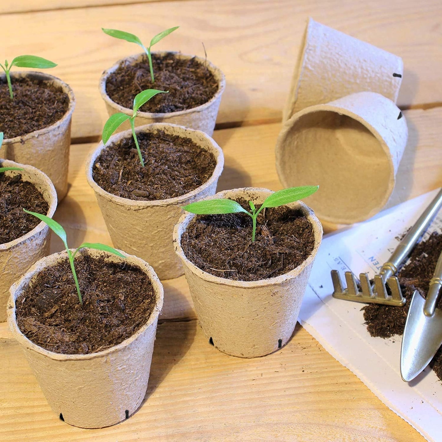 100 Pack Biodegradable Seed Starter Pots