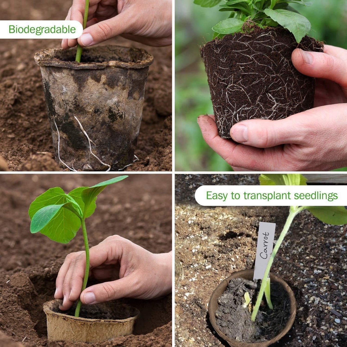 100 Pack Biodegradable Seed Starter Pots