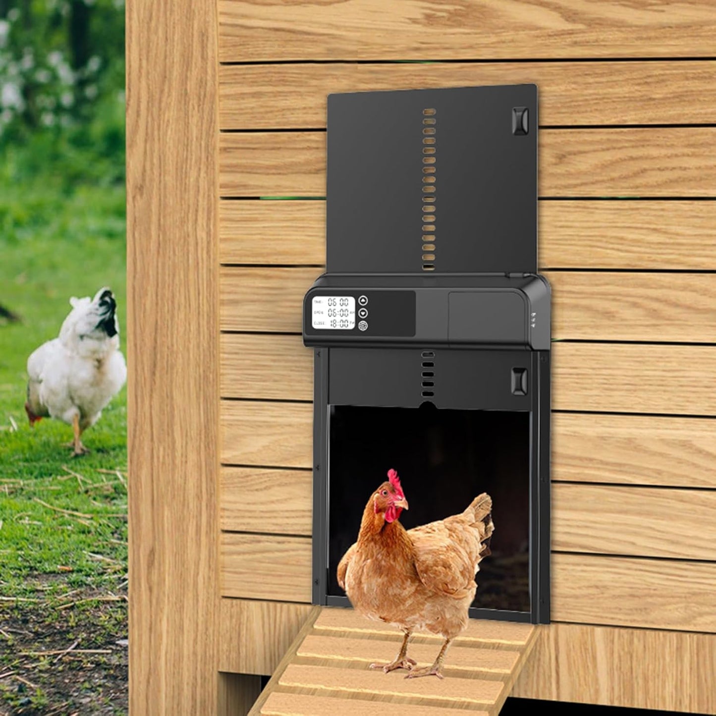 CARLA HOME Automatic Chicken Coop Door with Timer