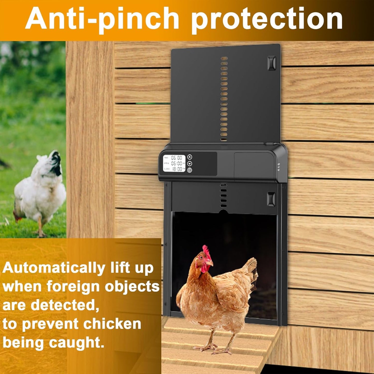 CARLA HOME Automatic Chicken Coop Door with Timer