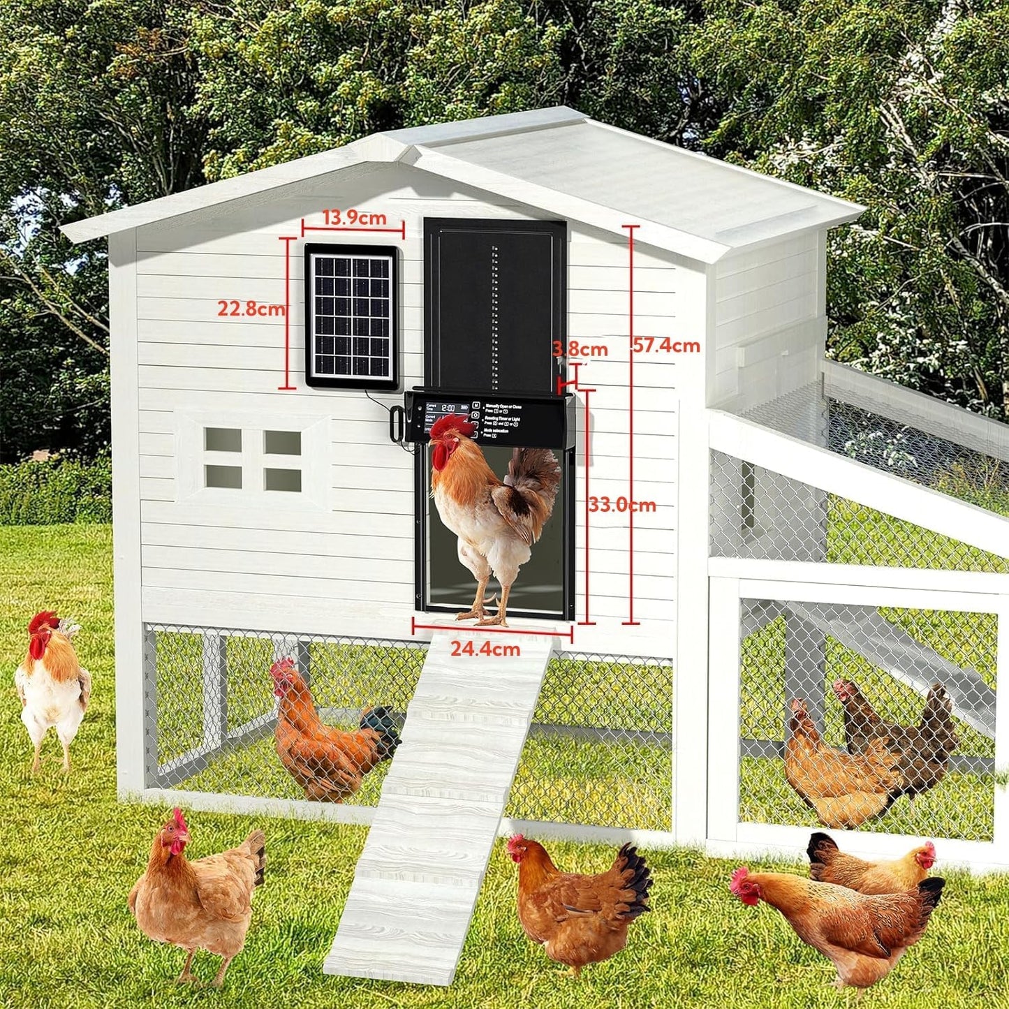 Solar Automatic Chicken Coop Door with Remote