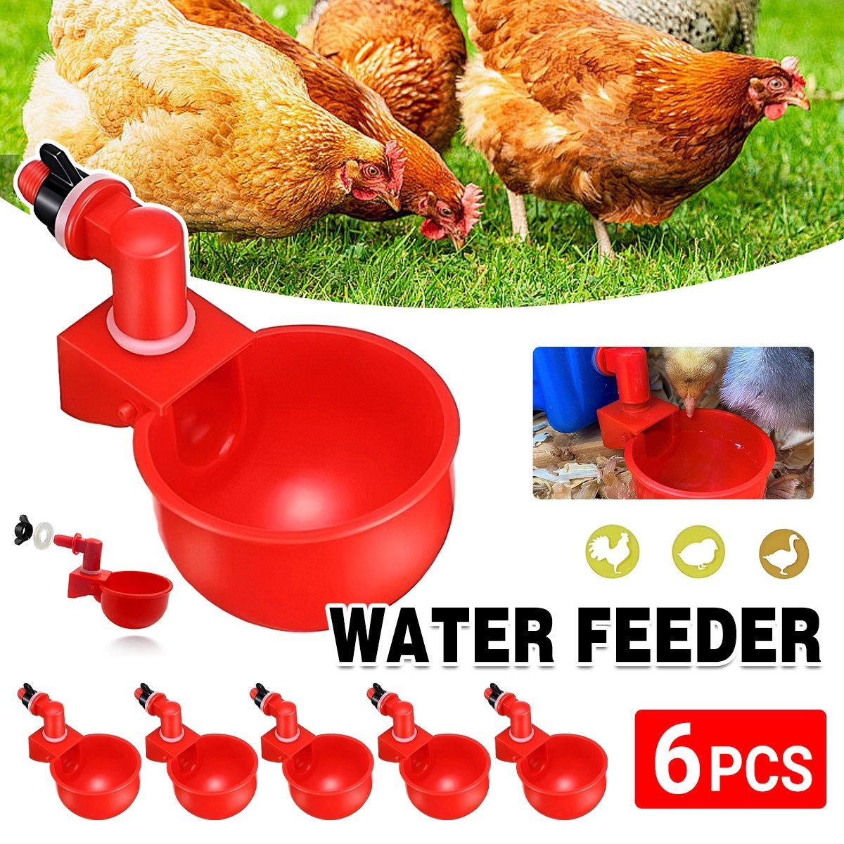 6-pack automatic chicken water cups