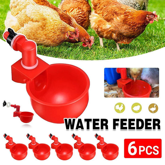 6-pack automatic chicken water cups