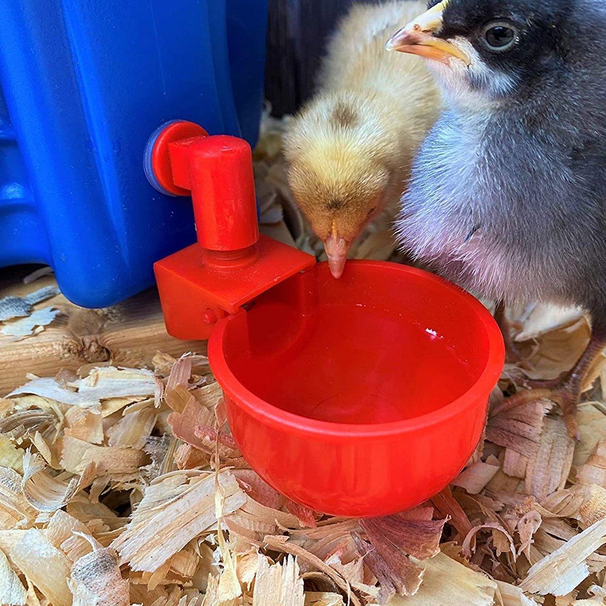 6-Pack Automatic Chicken Water Cups