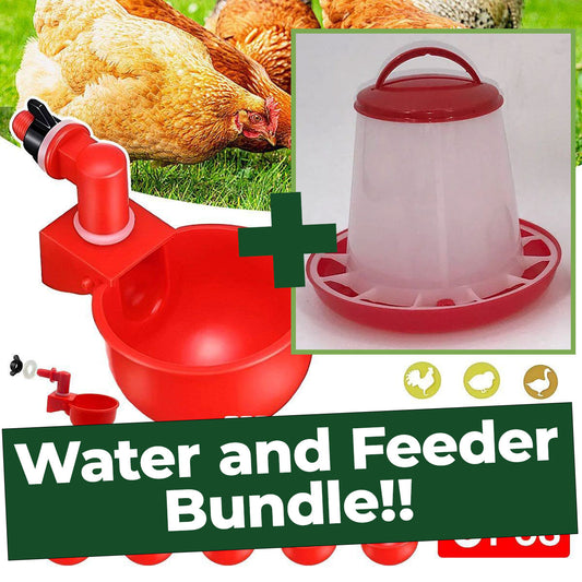 Backyard Chicken Starter Bundle